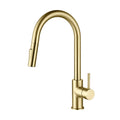 Halo Single Handle Pull Down Kitchen Faucet