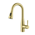 Plano Single Handle Pull Down Kitchen & Bar Sink Faucet